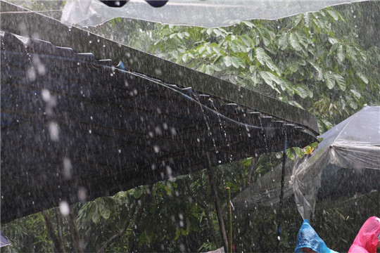 夏季多雨注意使用康明斯發電機組原則